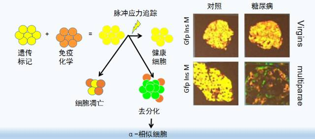 &#74;&#68;&#66;&#40;&#20013;&#22269;&#30005;&#23376;&#41;&#23448;&#26041;&#32593;&#31449;&#95;&#74;&#68;&#66;