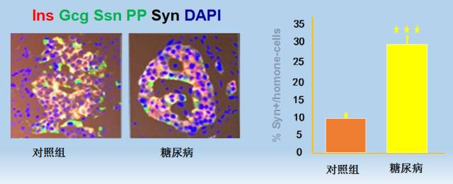&#74;&#68;&#66;&#40;&#20013;&#22269;&#30005;&#23376;&#41;&#23448;&#26041;&#32593;&#31449;&#95;&#74;&#68;&#66;
